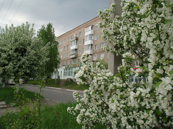 Тсж Вокруг Сада