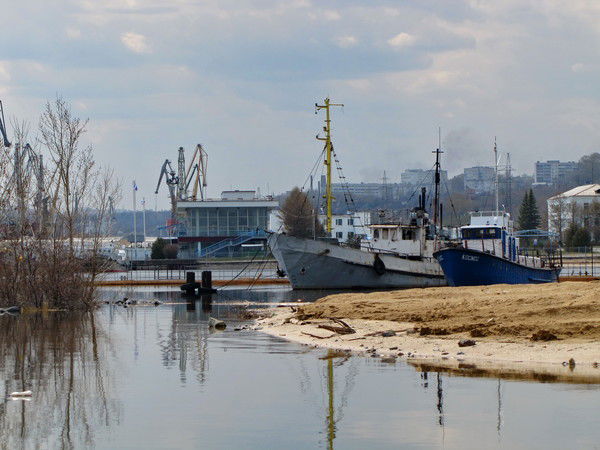 Ольга Питьева