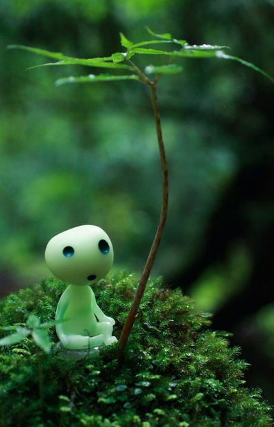 Настя Кривова