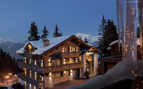 Лариса Балаева