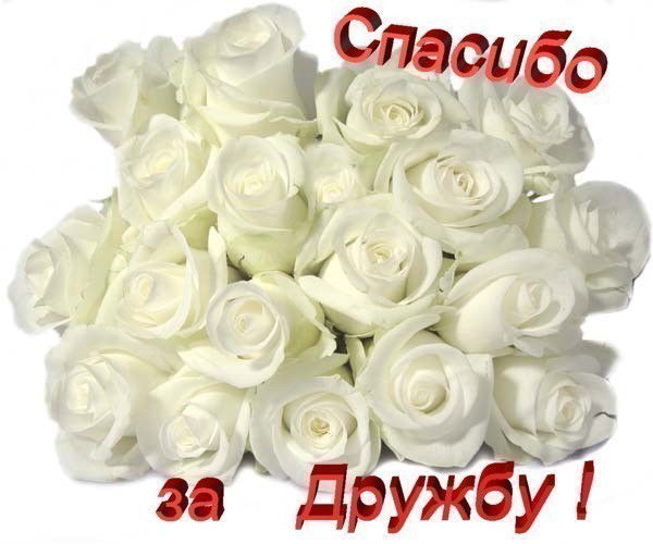 Гульнар Берекетова