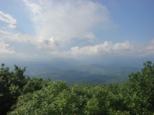 Александр Бушуев