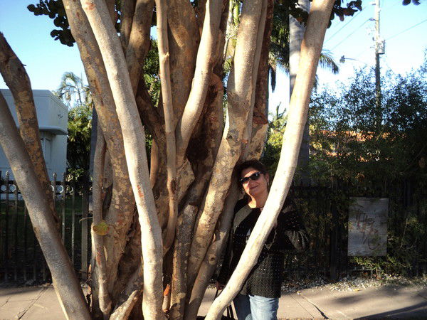 Света Назаров