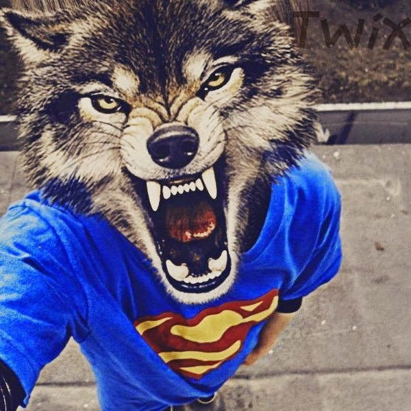 ╭∩╮￣︿￣╭∩╮ -.-