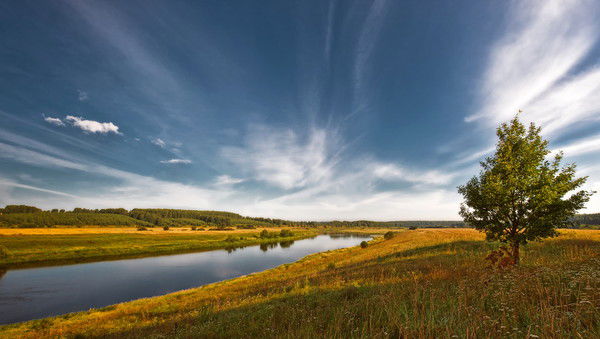 Ренат Дасаев