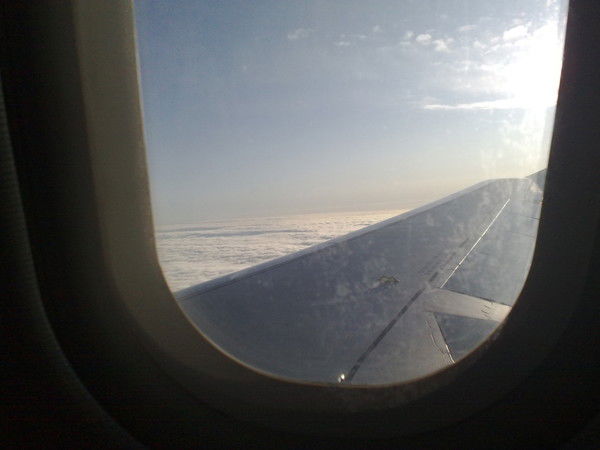 Александр Сычев