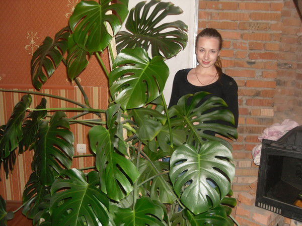 Ксения Кривонос