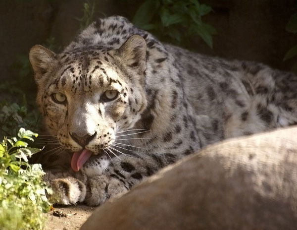 Мария Ананьева