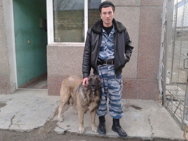 Владимир Калинбет