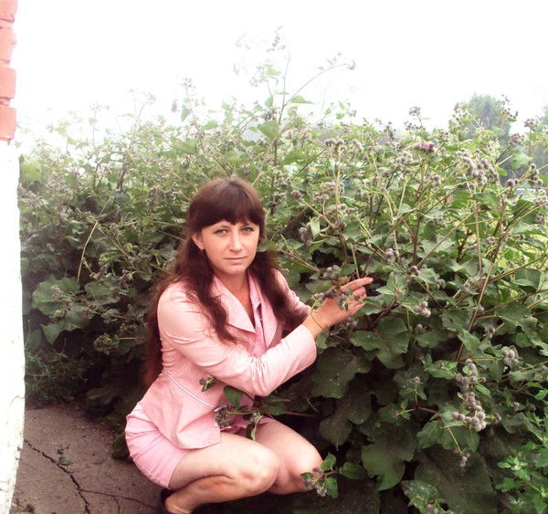 Елена Артемьева (Сульина)