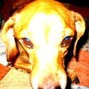 Марина Лапкина