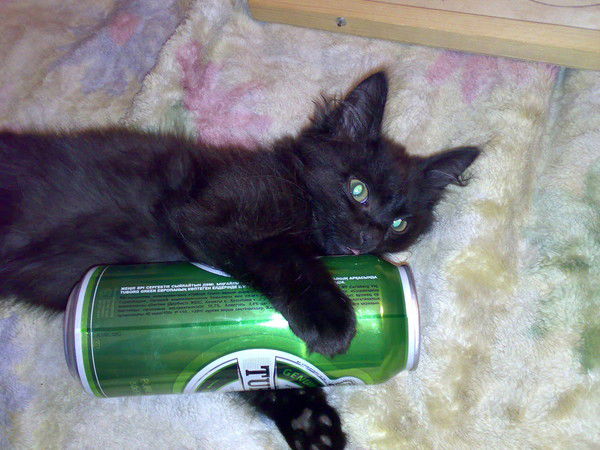 Олег Долгополов