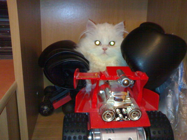 Наталья Кульшина