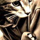 Дмитрий Змеев