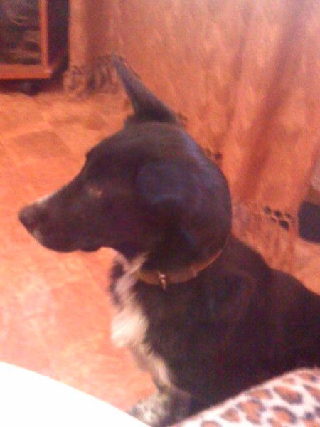 Михаил Хлопцев