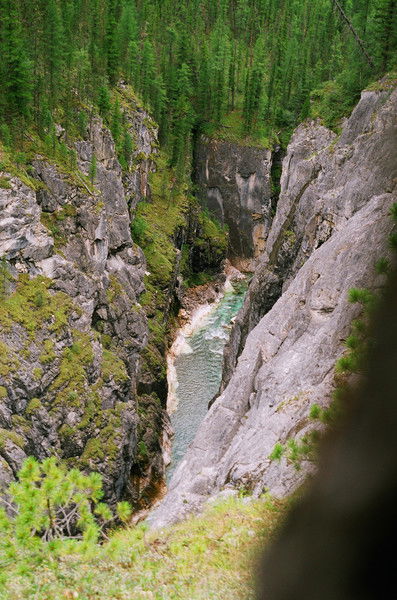 Татьяна Кацура