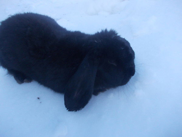 Александр Овдиенко