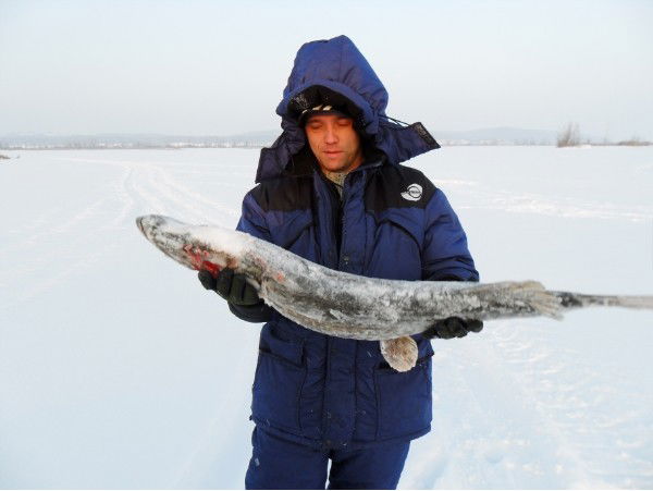 Андрей Шушаков