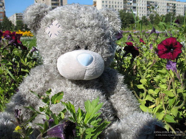 Валентина Миносян