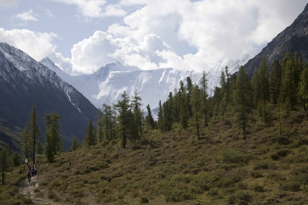 Николай Лоскутов