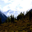 Николай Лоскутов