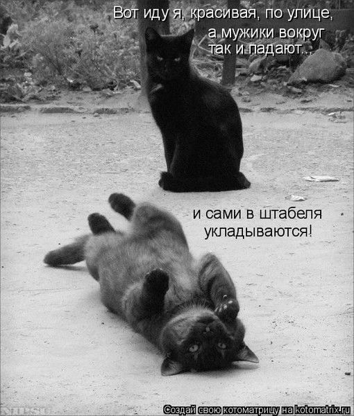 Курчона Баешева