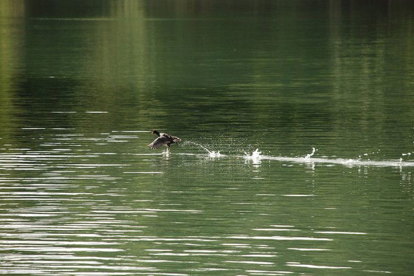 Виктор Моторин