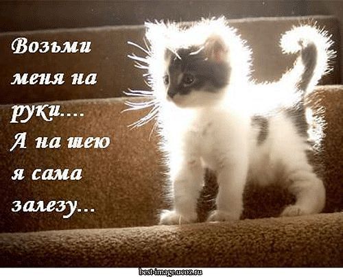 Алла Берсенева