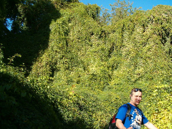 Камиль Мухамедшин