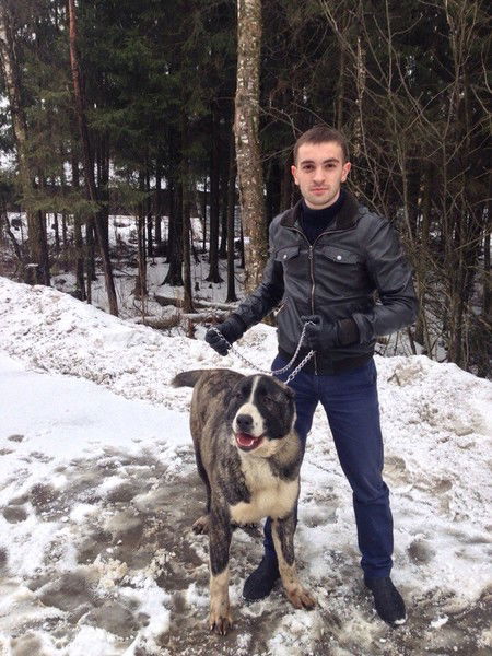 Рафаэль Карапетян