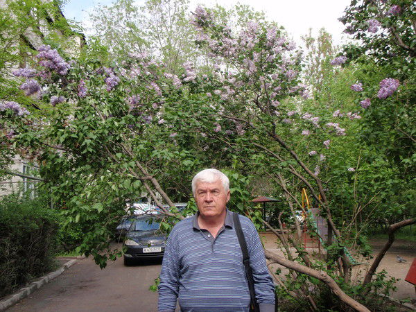 Виталий Изотов