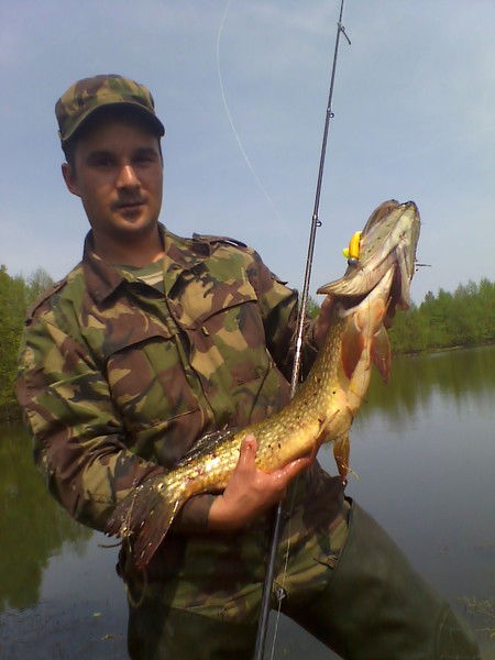 Андрей Асылов