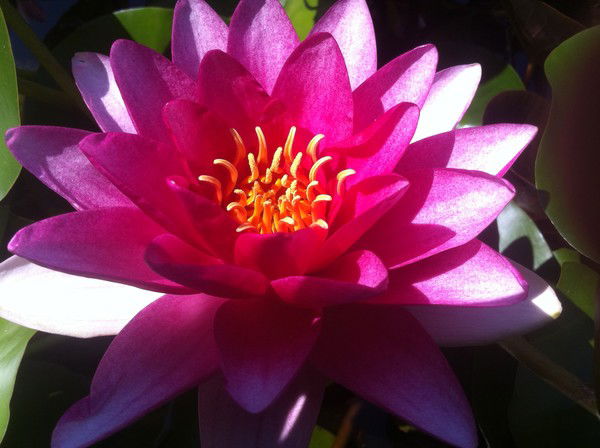 Людмила Керножицкая/хярг