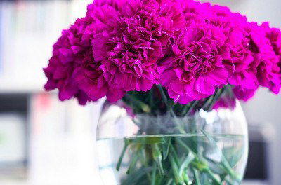 Алёна Чуприна