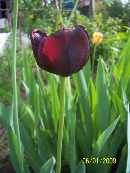 Л. Исхакова