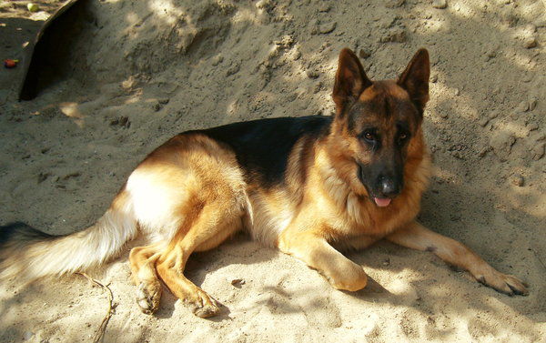 Тёма Ермилин