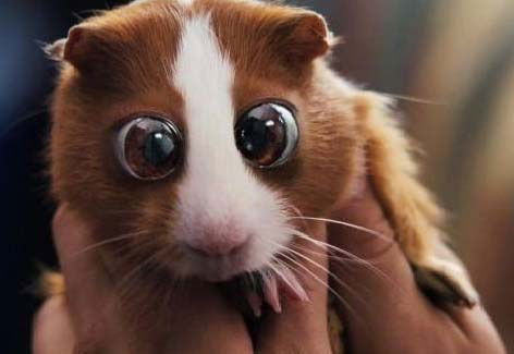 Светлана Кутузова