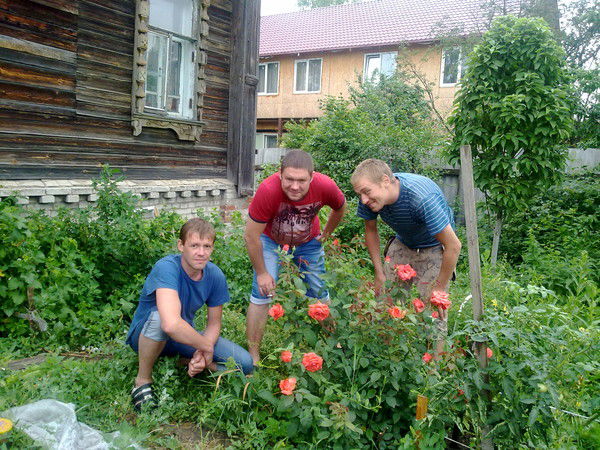 Алексей Шахов