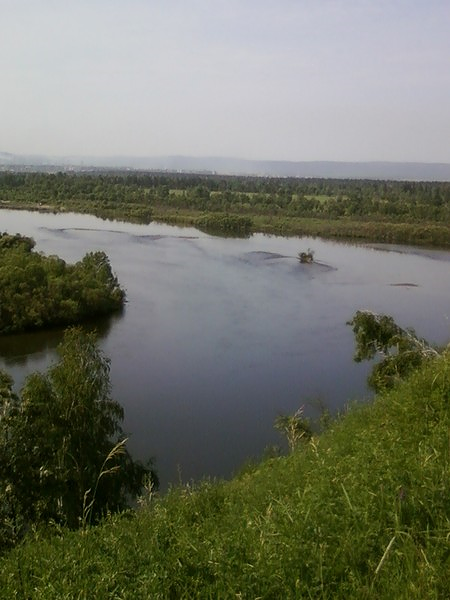 Александр Гаученов