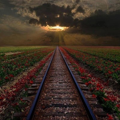 Алтын Аршкенова