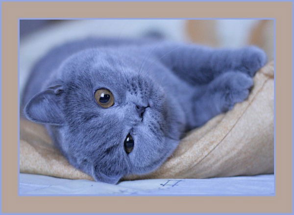 Наталья Коновалова