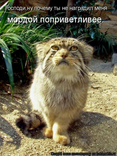 Сергей Колесников