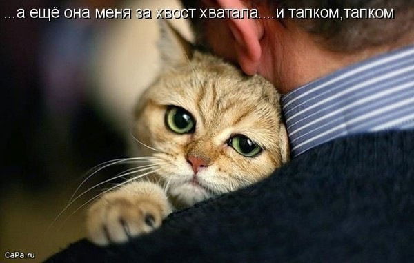 Николай Грязнов