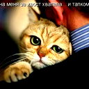Николай Грязнов