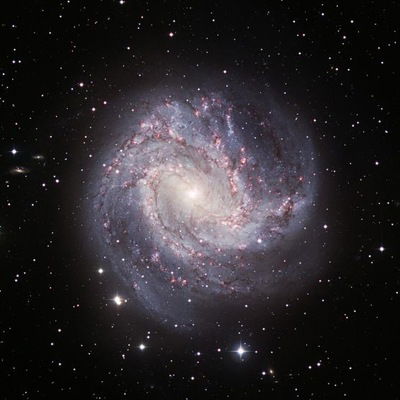 Дмитрий Поляков