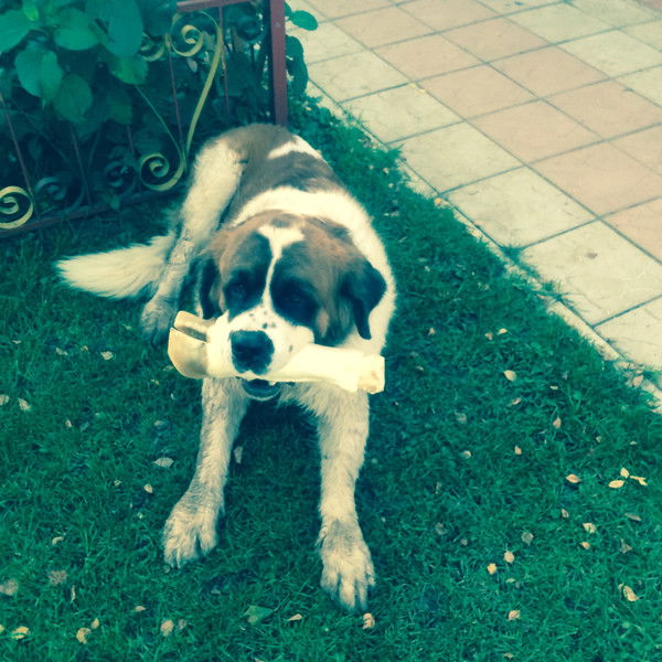 Сергей Кафаров