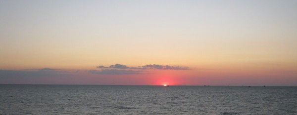 Юлия Сирота