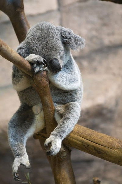 Петр Петров