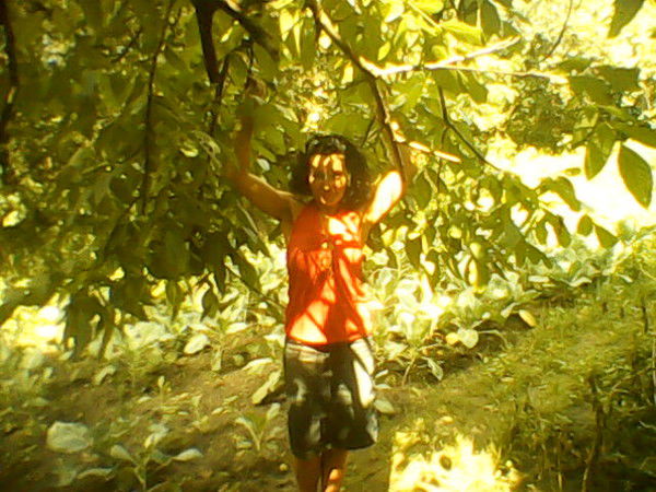 Леся Лукашенко