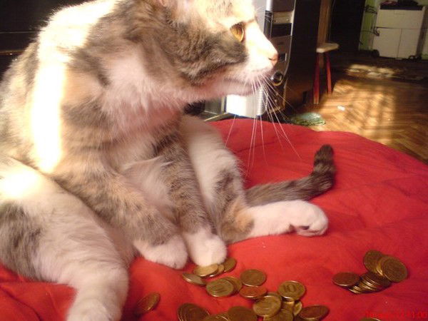 Лариса Ломакина